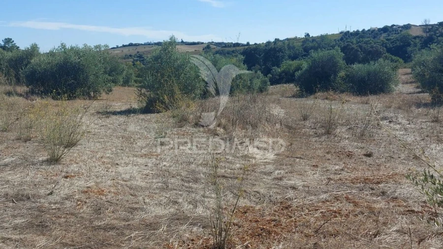 Terreno para Venda em Achete, Azoia de Baixo e Póvoa de Santarém Foto 8