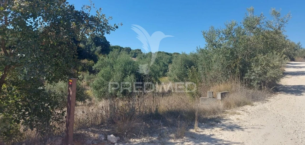 Terreno para Venda em Achete, Azoia de Baixo e Póvoa de Santarém Foto 2