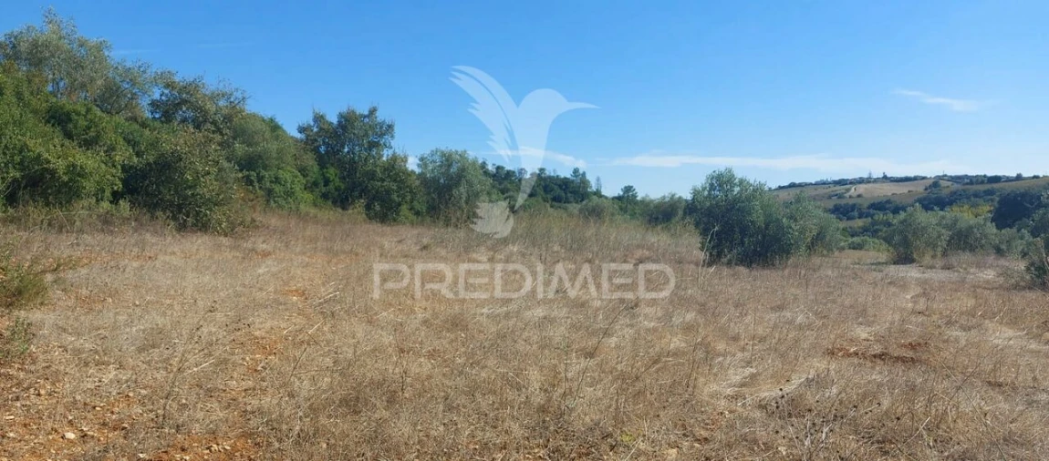 Terreno para Venda em Achete, Azoia de Baixo e Póvoa de Santarém Foto 9
