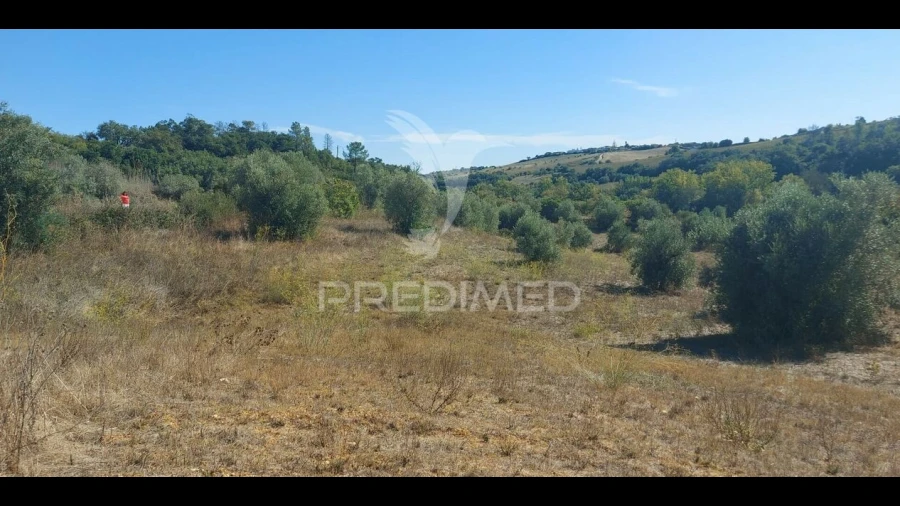 Terreno para Venda em Achete, Azoia de Baixo e Póvoa de Santarém