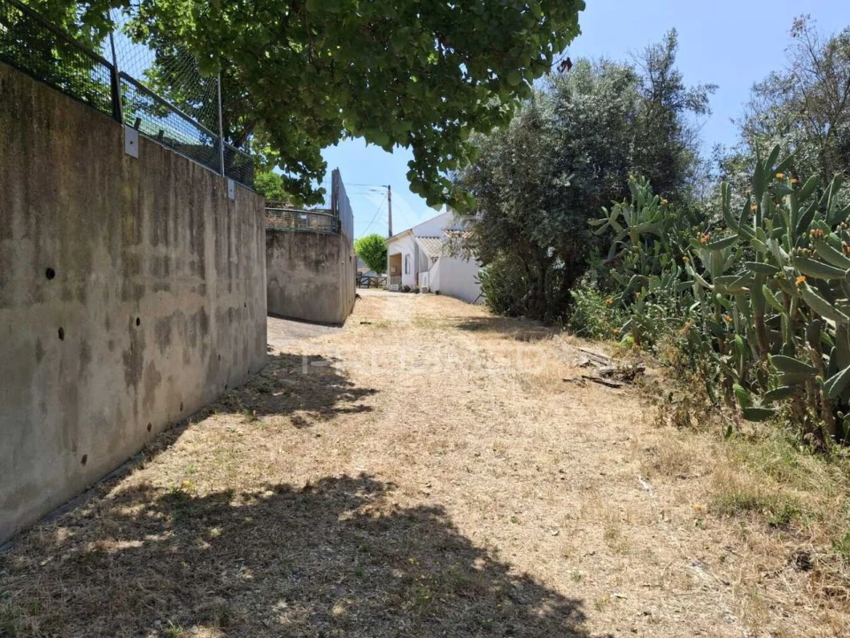 Moradia T3 para Venda em São Miguel do Rio Torto e Rossio Ao Sul do Tejo Foto 11