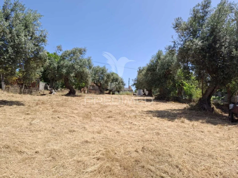 Moradia T3 para Venda em São Miguel do Rio Torto e Rossio Ao Sul do Tejo Foto 9