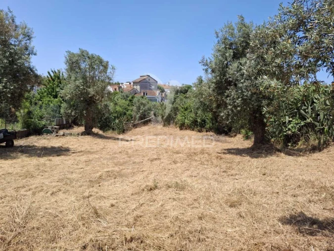Moradia T3 para Venda em São Miguel do Rio Torto e Rossio Ao Sul do Tejo Foto 8