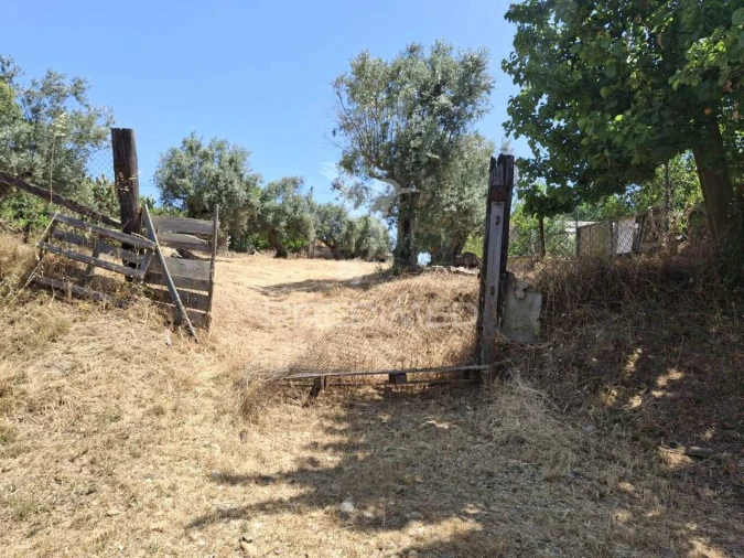 Moradia T3 para Venda em São Miguel do Rio Torto e Rossio Ao Sul do Tejo Foto 10