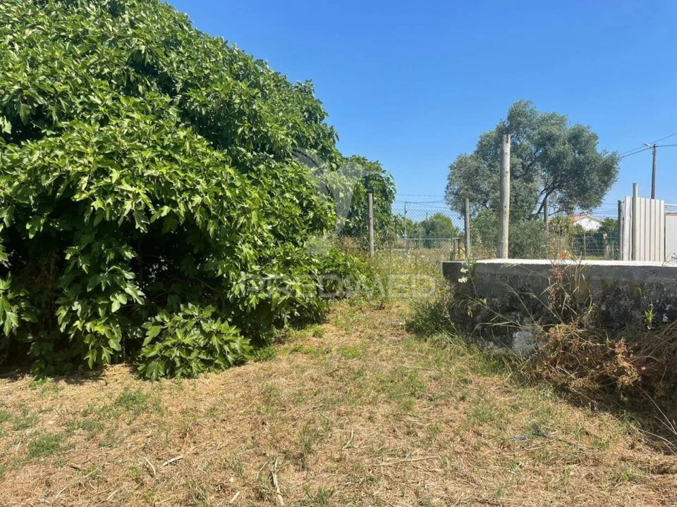 Terreno para Venda em Manique do Intendente, Vila Nova de São Pedro e Maçussa Foto 4