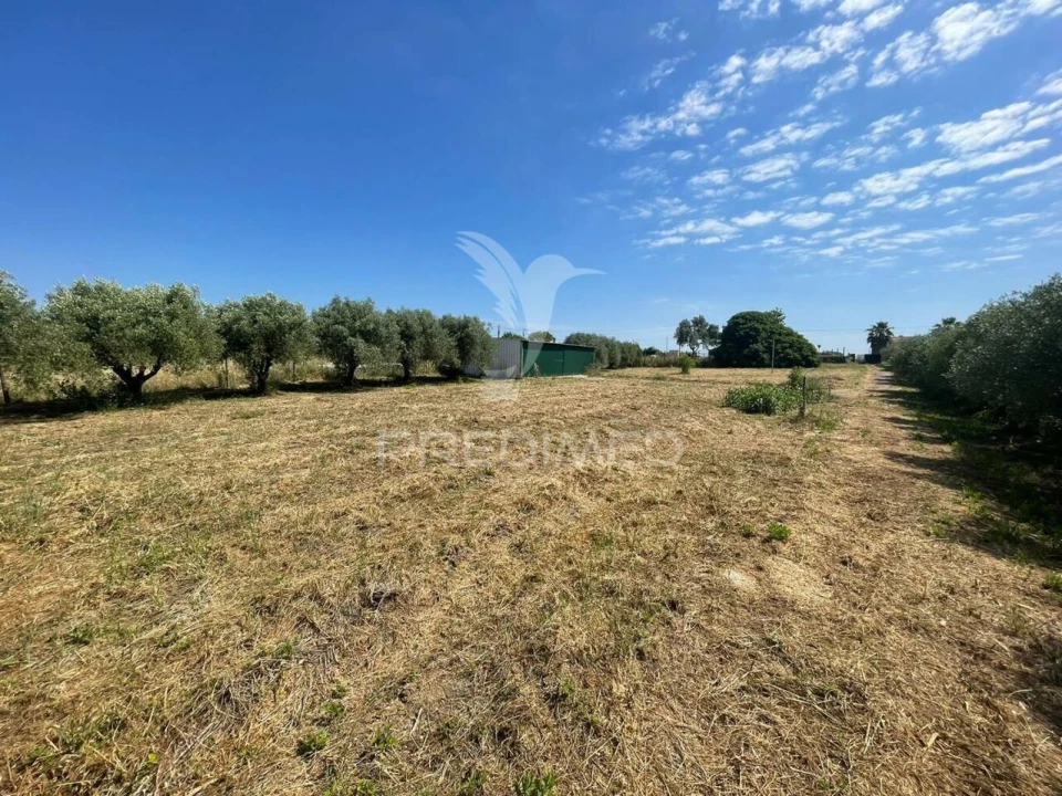 Terreno para Venda em Manique do Intendente, Vila Nova de São Pedro e Maçussa Foto 7