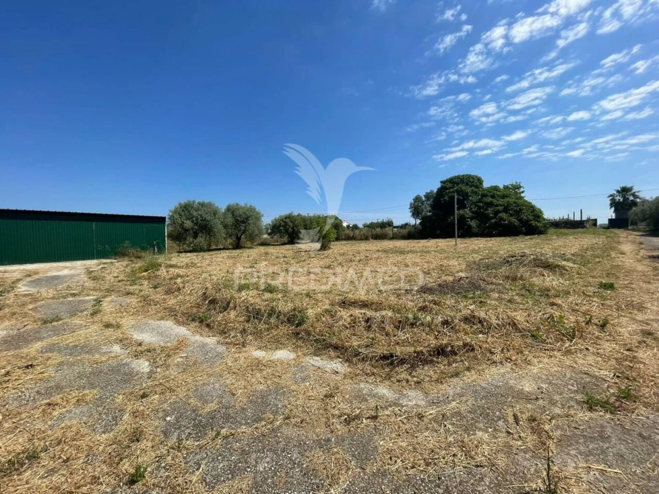 Terreno para Venda em Manique do Intendente, Vila Nova de São Pedro e Maçussa Foto 9