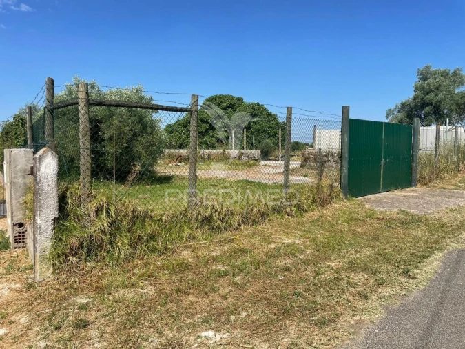 Terreno para Venda em Manique do Intendente, Vila Nova de São Pedro e Maçussa Foto 6