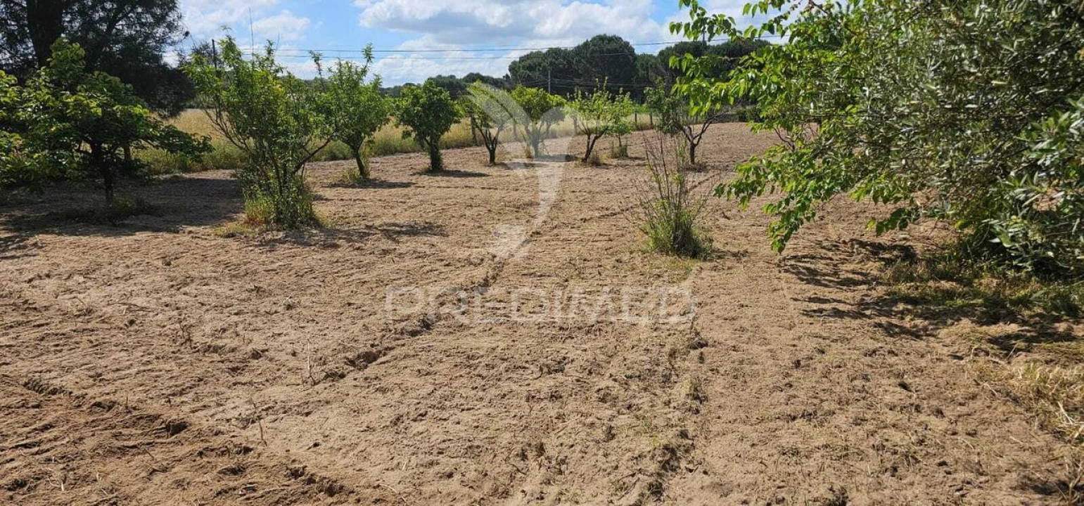 Terreno para Venda em Coruche, Fajarda e Erra Foto 30