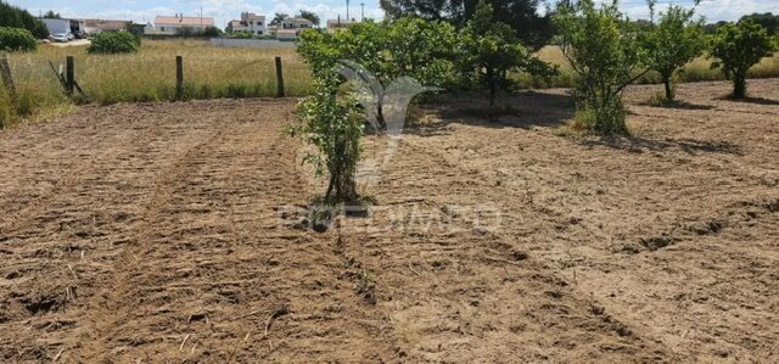 Terreno para Venda em Coruche, Fajarda e Erra Foto 29