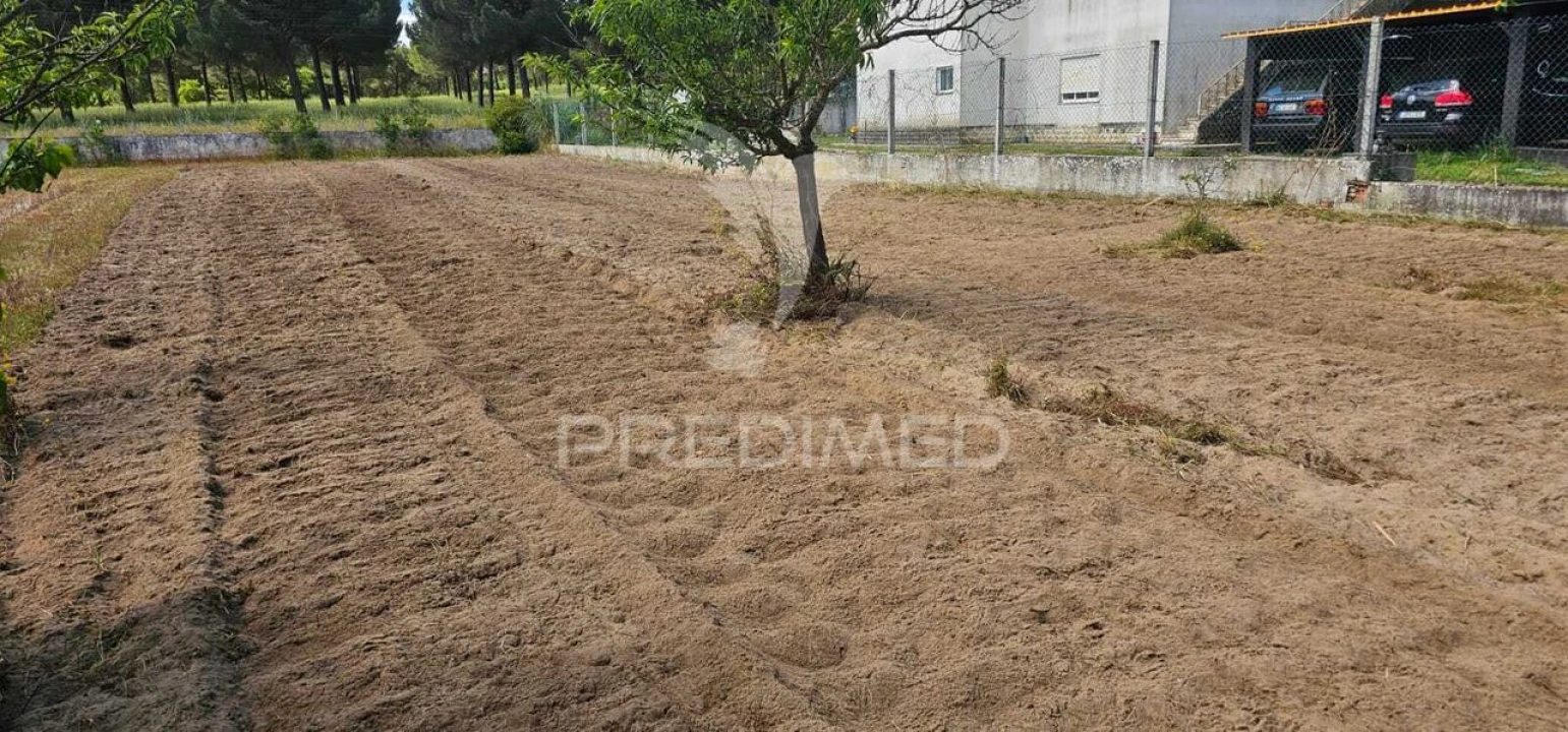Terreno para Venda em Coruche, Fajarda e Erra Foto 23