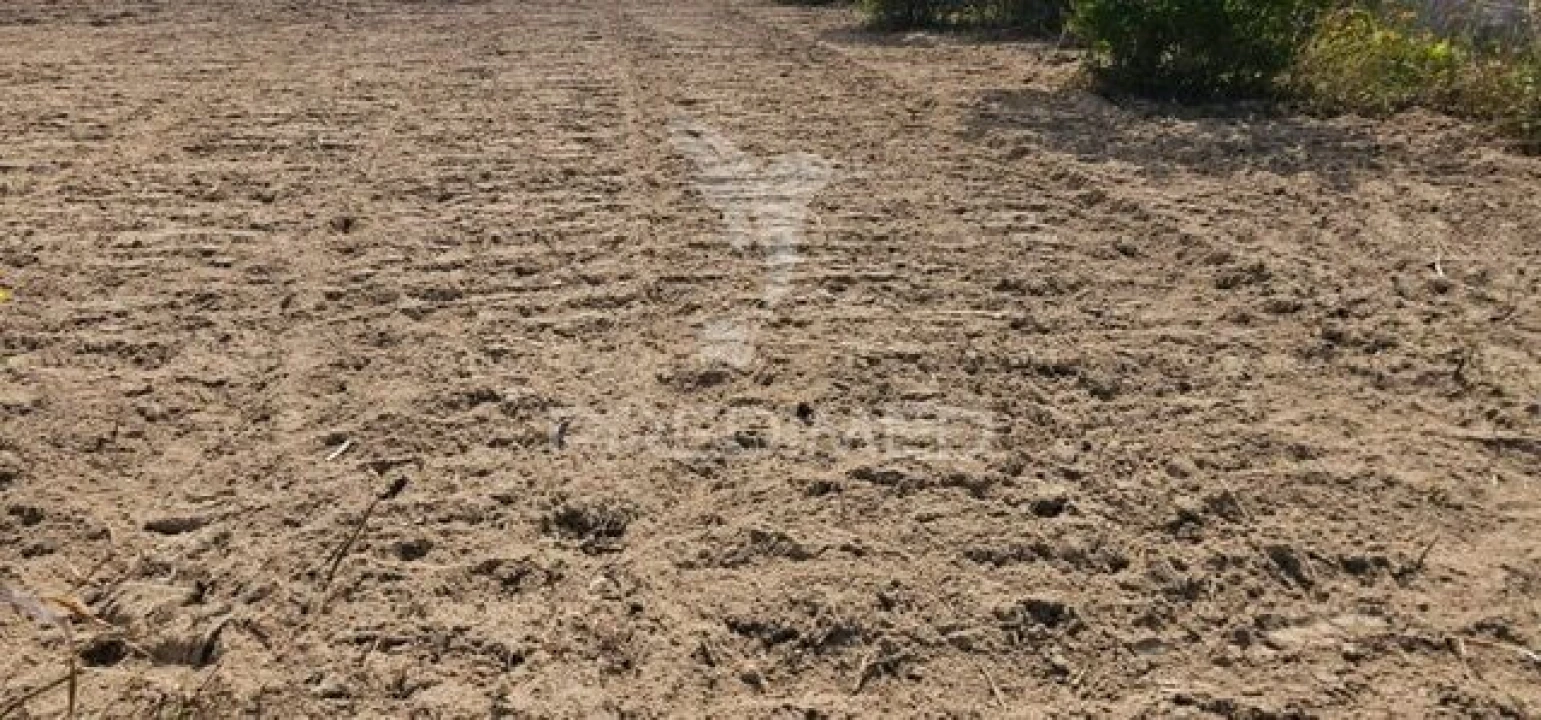 Terreno para Venda em Coruche, Fajarda e Erra Foto 27
