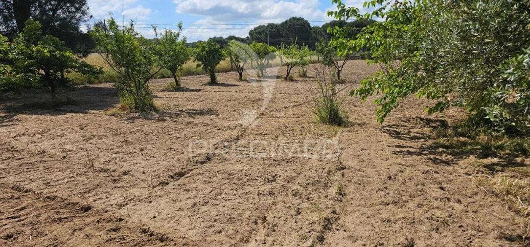 Terreno para Venda em Coruche, Fajarda e Erra Foto 30