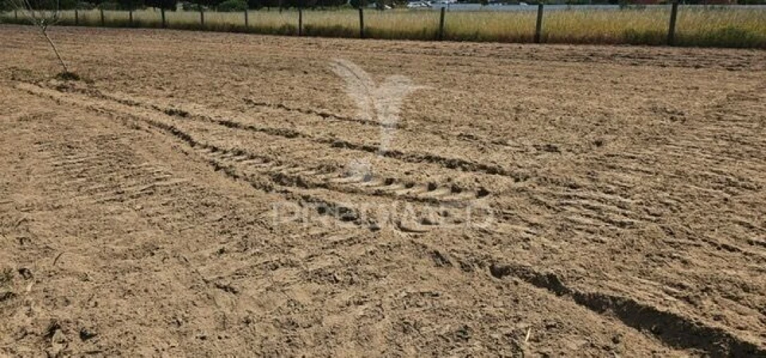 Terreno para Venda em Coruche, Fajarda e Erra Foto 28