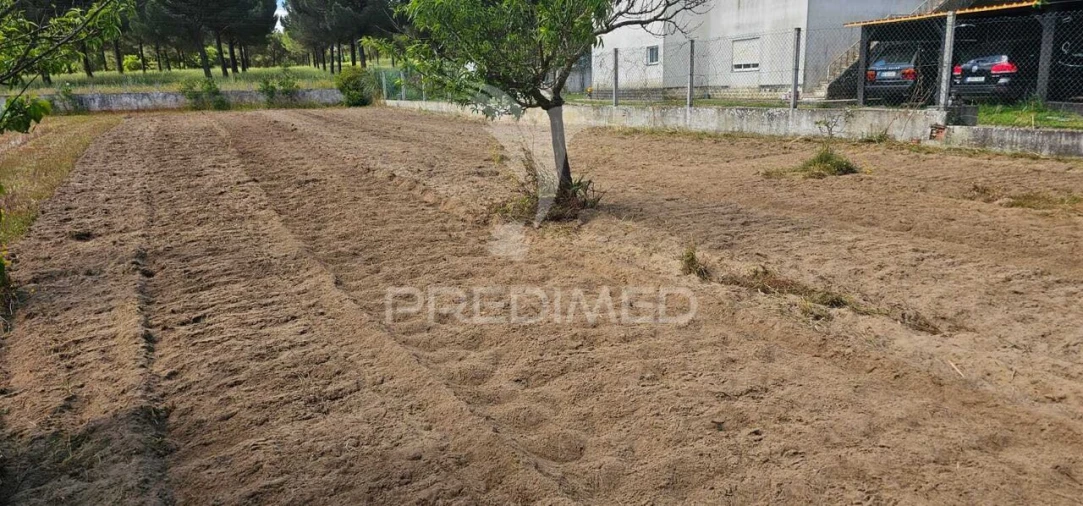 Terreno para Venda em Coruche, Fajarda e Erra Foto 23