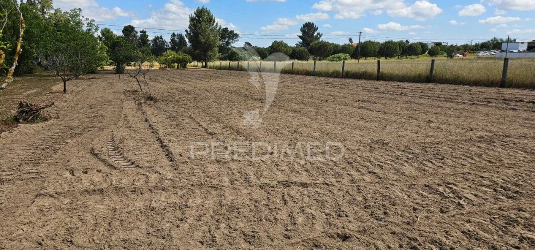 Terreno para Venda em Coruche, Fajarda e Erra Foto 31