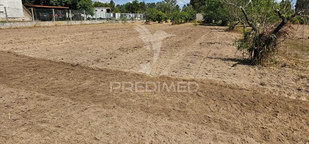 Terreno para Venda em Coruche, Fajarda e Erra Foto 26