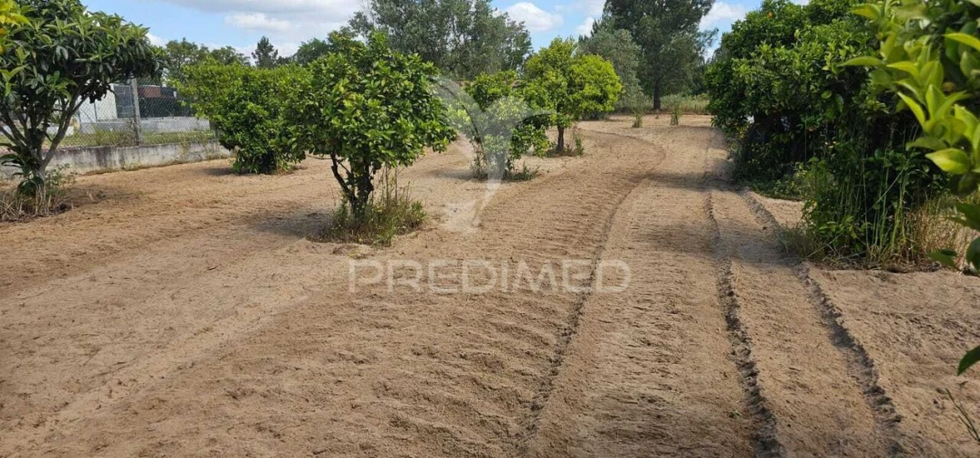 Terreno para Venda em Coruche, Fajarda e Erra Foto 24