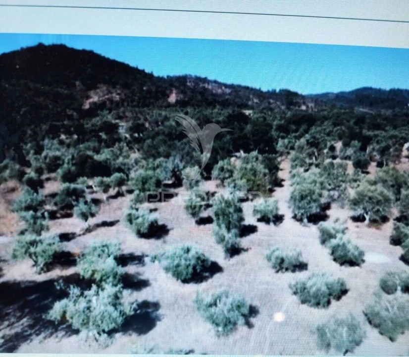 Terreno para Venda em Grândola e Santa Margarida da Serra Foto 2
