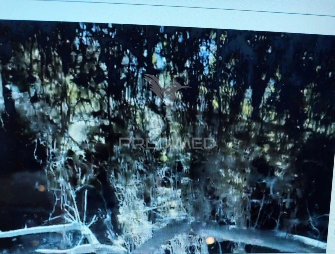 Terreno para Venda em Grândola e Santa Margarida da Serra Foto 3