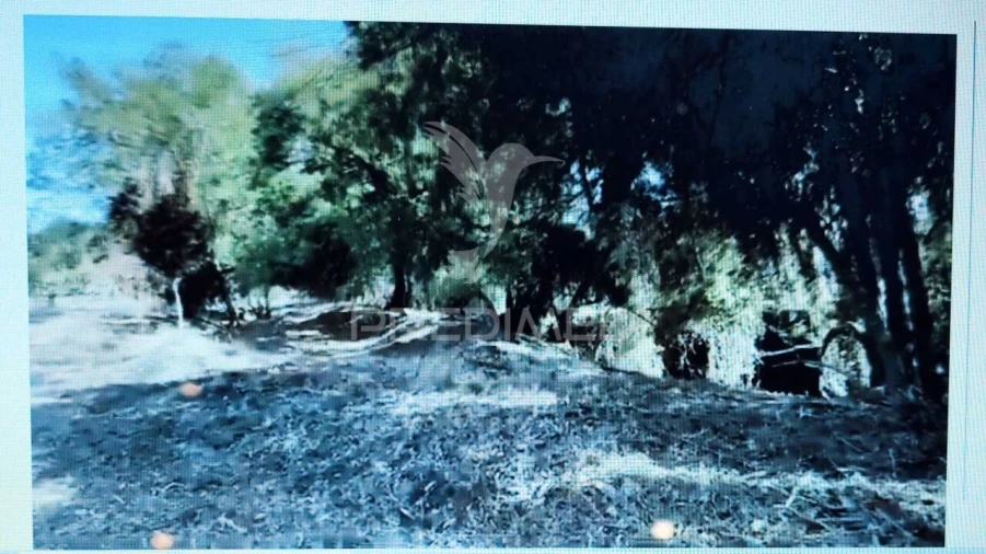 Terreno para Venda em Grândola e Santa Margarida da Serra Foto 1