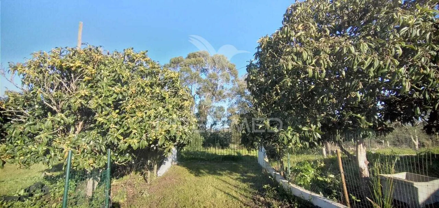 Quinta T2 para Venda em Santiago do Cacém, Santa Cruz e São Bartolomeu da Serra Foto 11