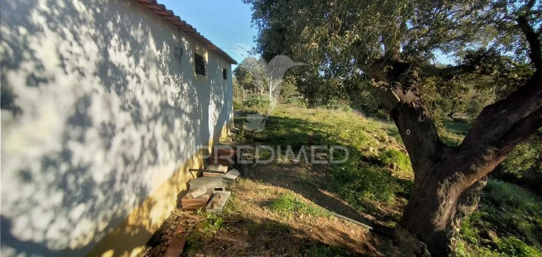 Quinta T2 para Venda em Santiago do Cacém, Santa Cruz e São Bartolomeu da Serra Foto 4