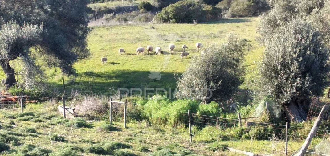 Quinta T2 para Venda em Santiago do Cacém, Santa Cruz e São Bartolomeu da Serra Foto 19