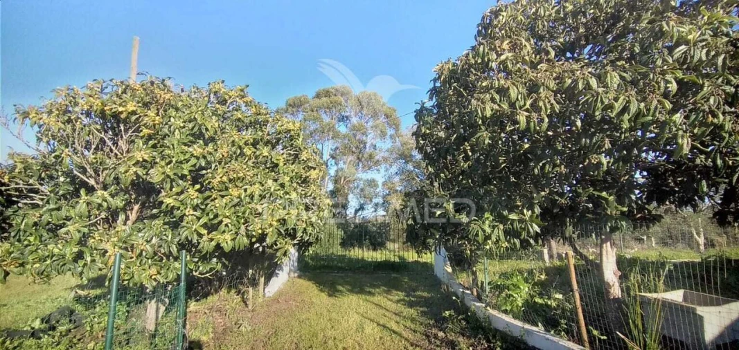 Quinta T2 para Venda em Santiago do Cacém, Santa Cruz e São Bartolomeu da Serra Foto 11