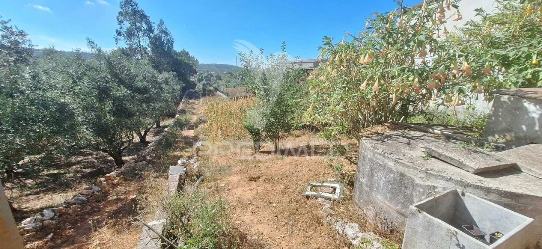 Moradia T4 para Venda em Degracias e Pombalinho Foto 29