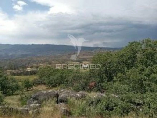 Moradia T2 para Venda em São Tomé do Castelo e Justes Foto 23