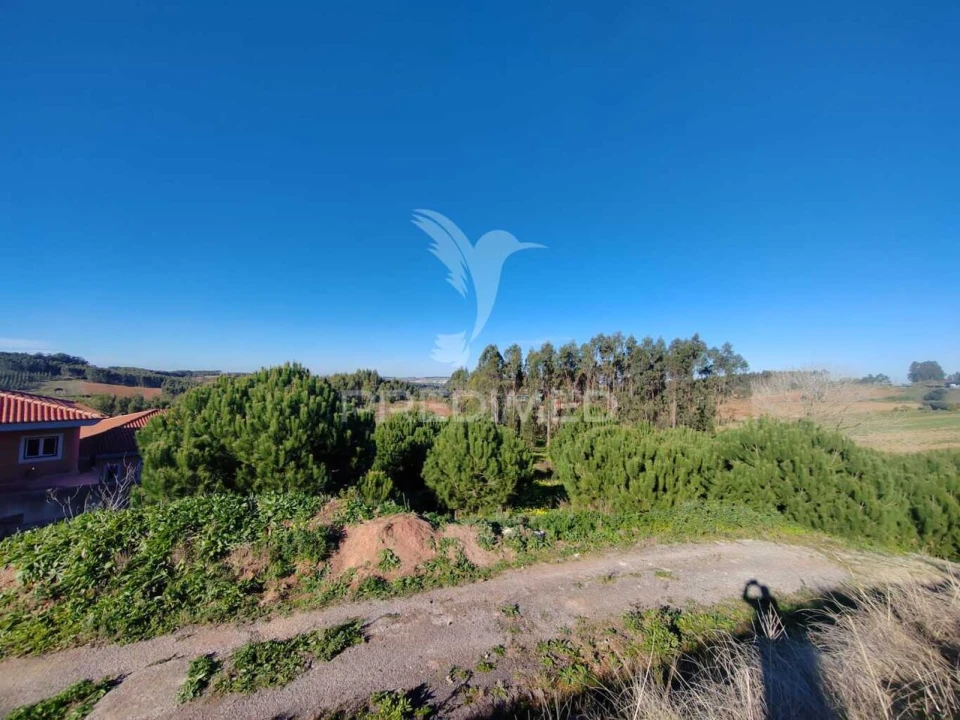 Terreno para Venda em Miragaia e Marteleira Foto 3