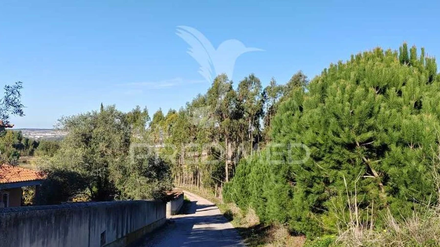 Terreno para Venda em Miragaia e Marteleira