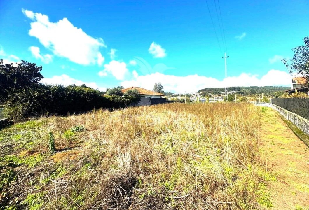 Terreno para Venda em Fonte Arcada e Oliveira Foto 13