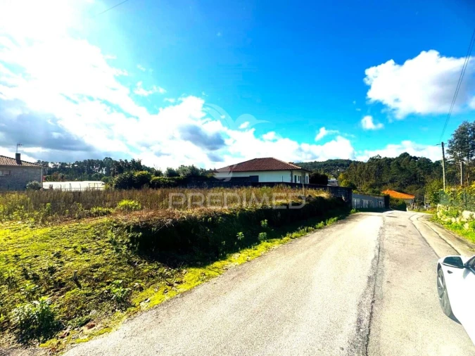 Terreno para Venda em Fonte Arcada e Oliveira Foto 5