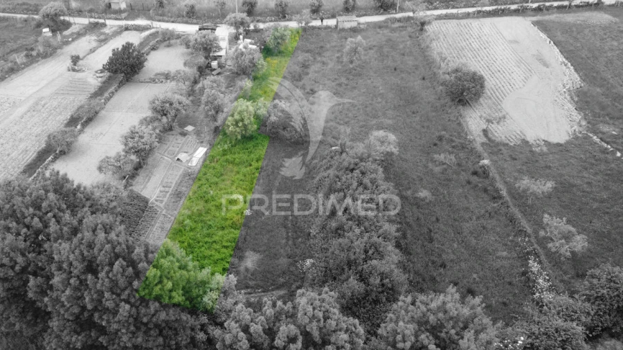 Terreno para Venda em Açores e Velosa Foto 2