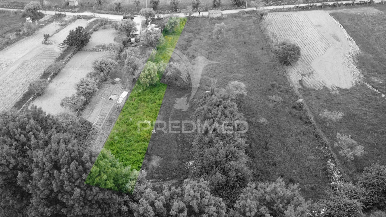 Terreno para Venda em Açores e Velosa Foto 2