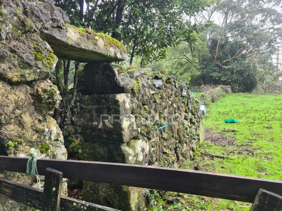 Terreno para Venda em São Mateus da Calheta Foto 2
