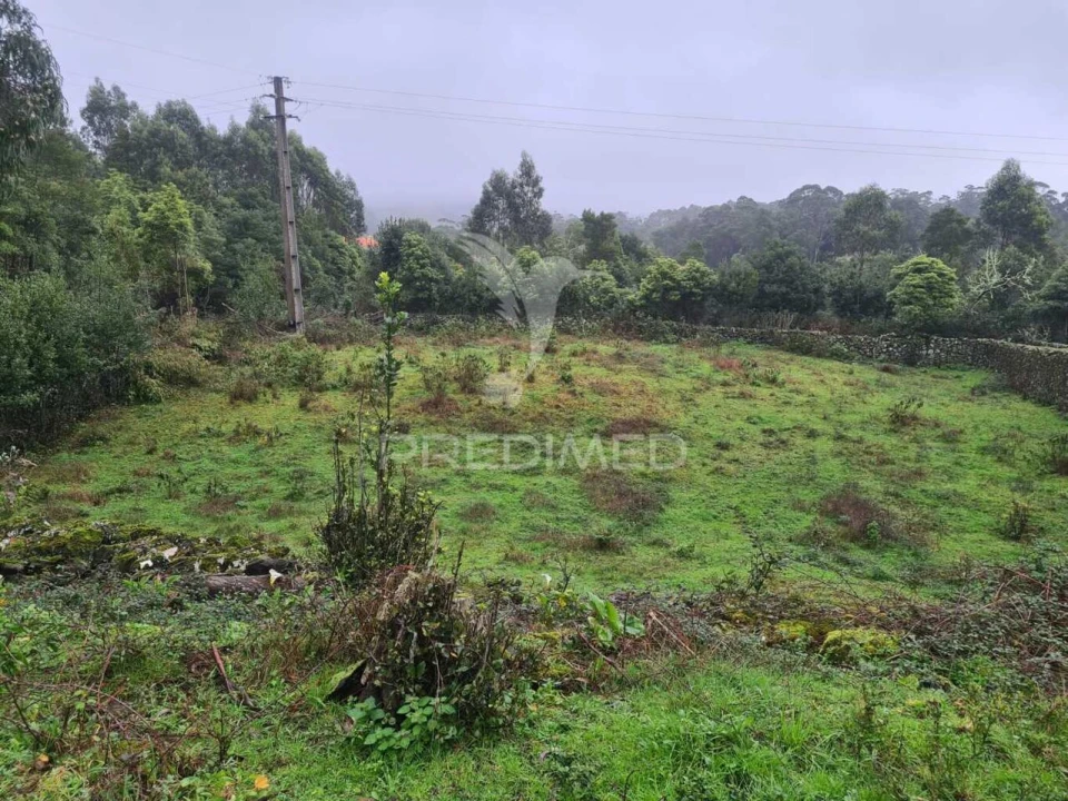 Terreno para Venda em São Mateus da Calheta Foto 11