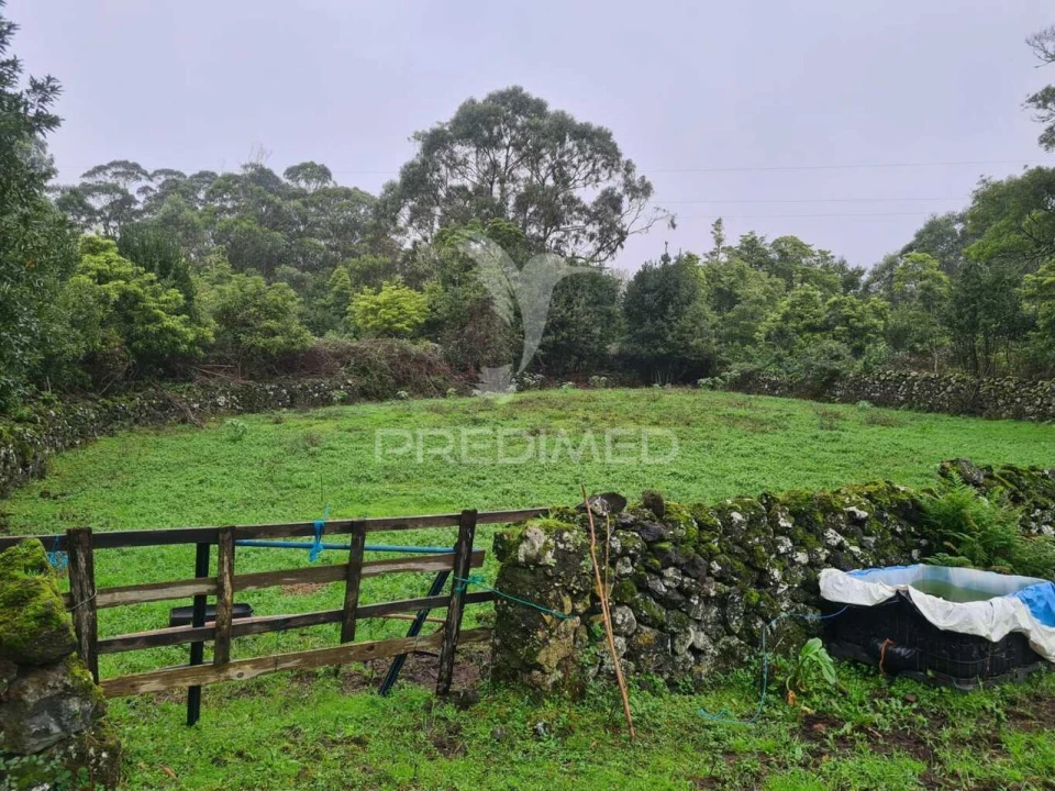 Terreno para Venda em São Mateus da Calheta Foto 9