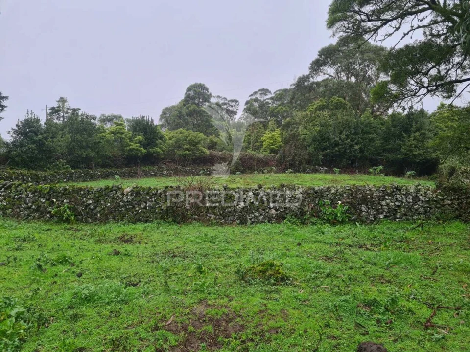 Terreno para Venda em São Mateus da Calheta Foto 3