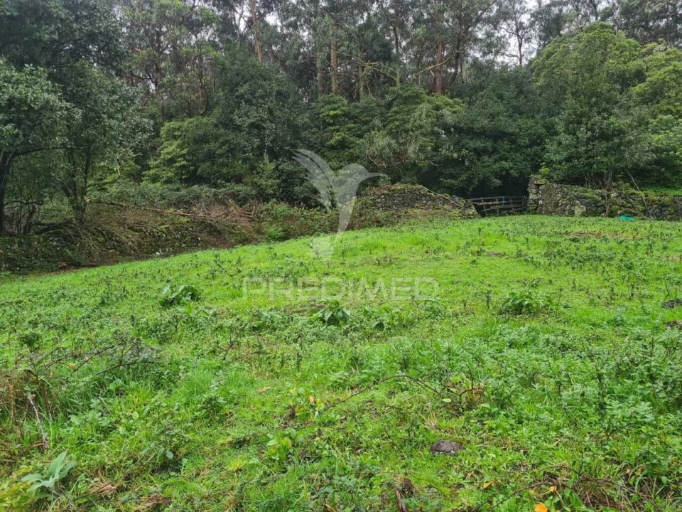 Terreno para Venda em São Mateus da Calheta Foto 8