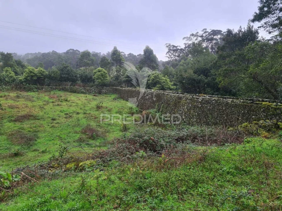 Terreno para Venda em São Mateus da Calheta Foto 6