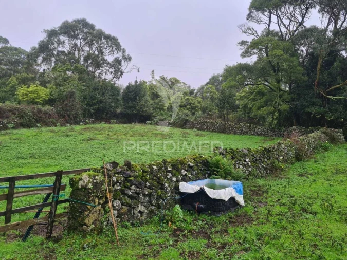 Terreno para Venda em São Mateus da Calheta Foto 4