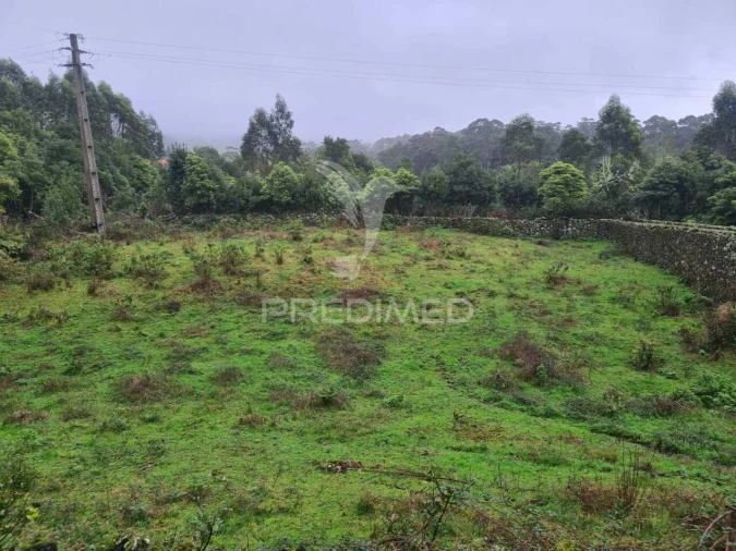 Terreno para Venda em São Mateus da Calheta Foto 5