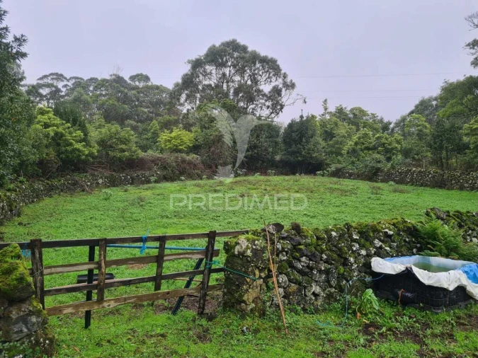 Terreno para Venda em São Mateus da Calheta Foto 9