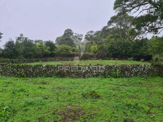 Terreno para Venda em São Mateus da Calheta Foto 3