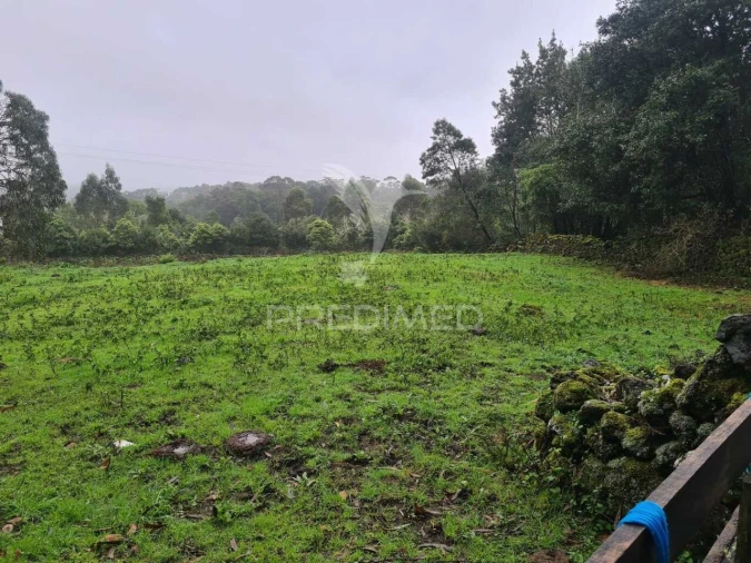 Terreno para Venda em São Mateus da Calheta Foto 10