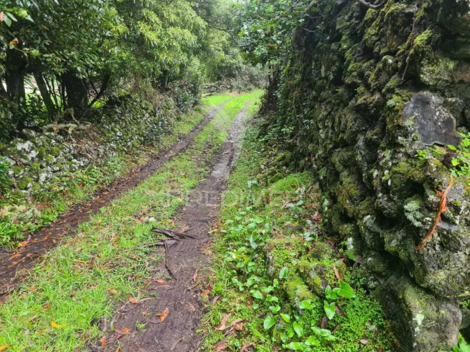 Terreno para Venda em São Mateus da Calheta Foto 12