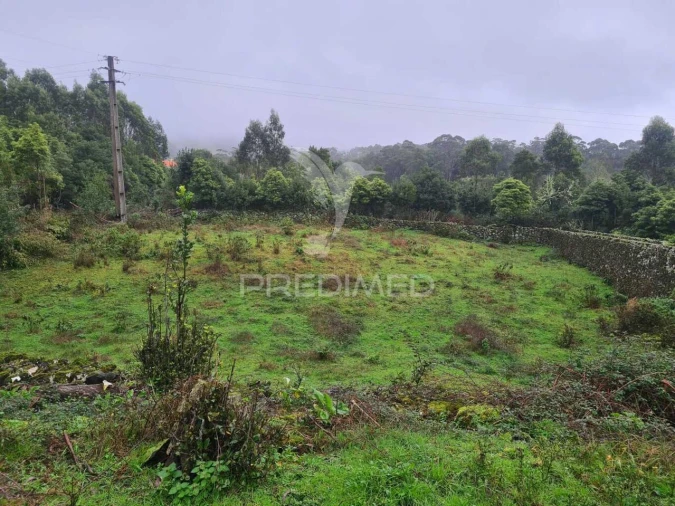 Terreno para Venda em São Mateus da Calheta Foto 7